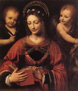 LUINI, Bernardino St.Catherine oil painting artist